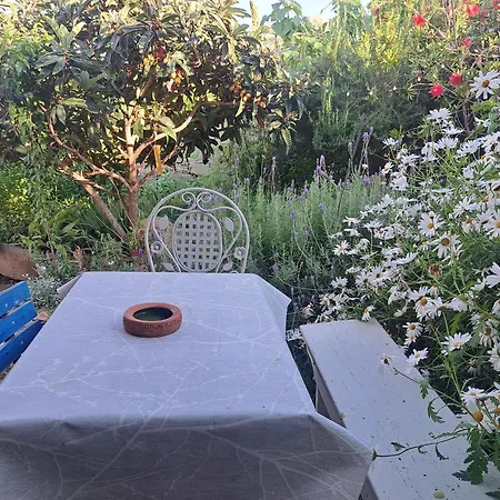 Mika * فيلا لوكا