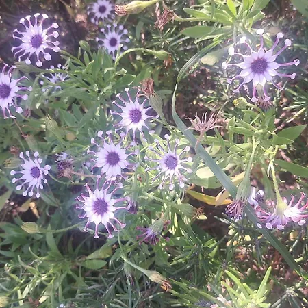 شقة Mika فيلا لوكا